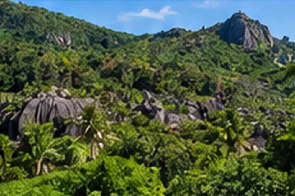 Zielone wnętrze La Digue w pobliżu Veuve Special Reserve