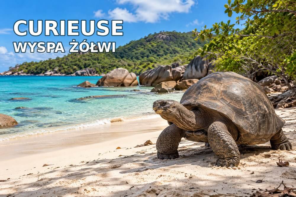 Curieuse – wyspa żółwi olbrzymich. Jak zwiedzać?
